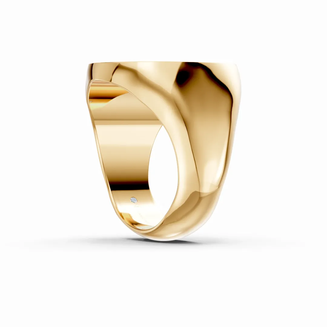 feature image 1