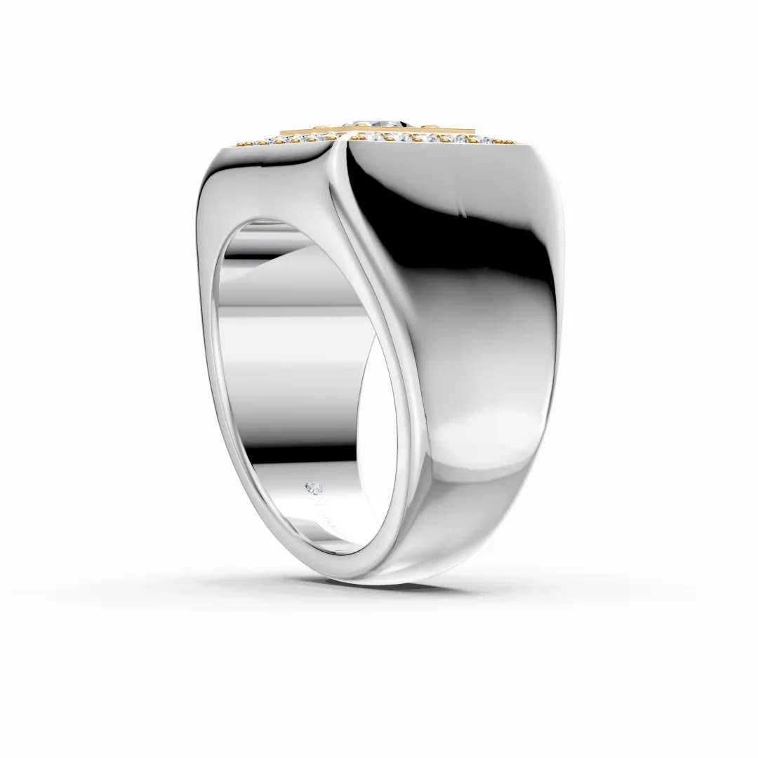 feature image 1
