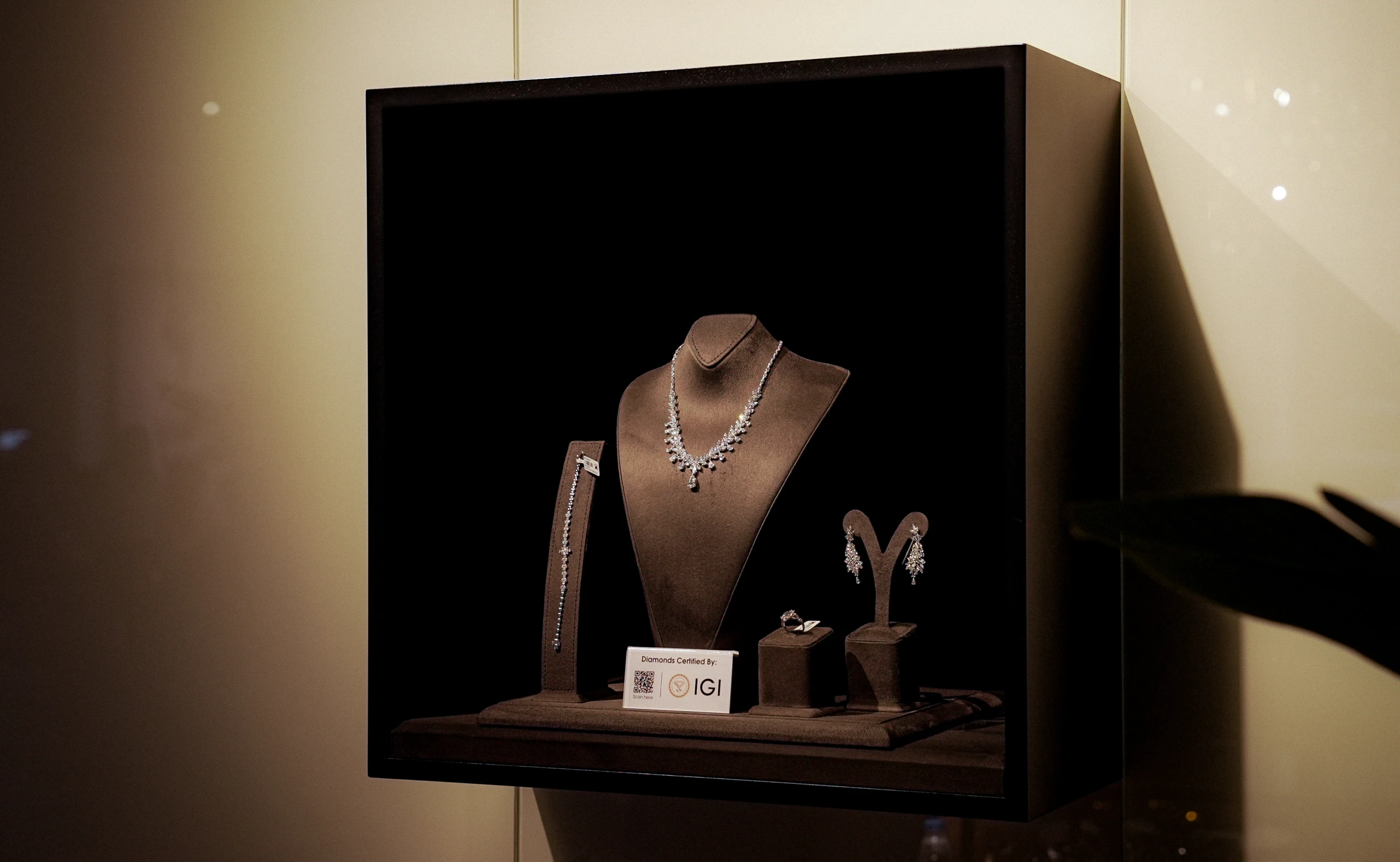 Curated Displays
